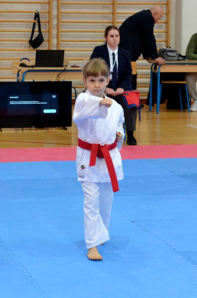 Prvi službeni nastup naših novih karatistica