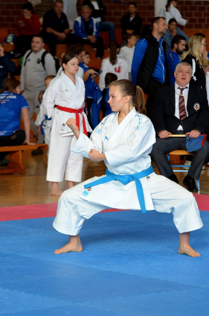 Nastup Rafaele Begović u Ivancu